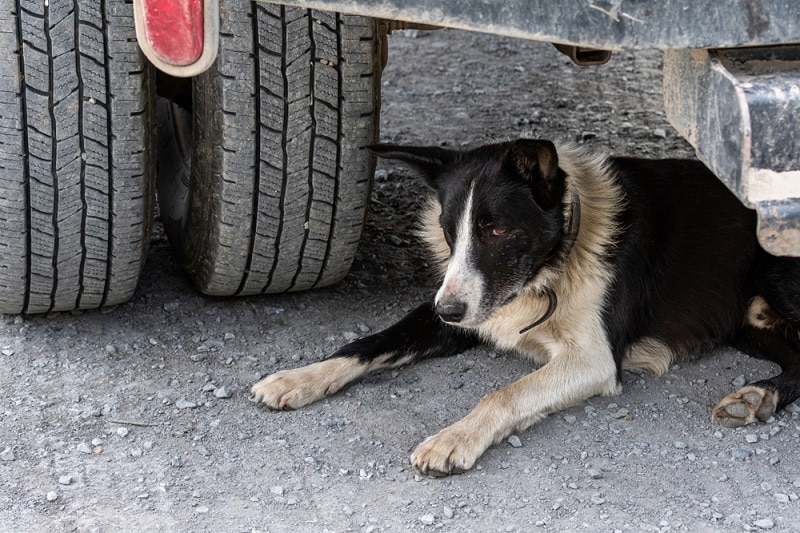 What is an RV Dually Tire Rotation? How To Care For It?