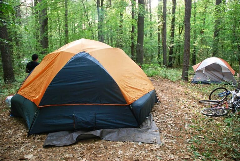 Coleman Flatwoods vs Coleman Sundome Which One? Camper Upgrade