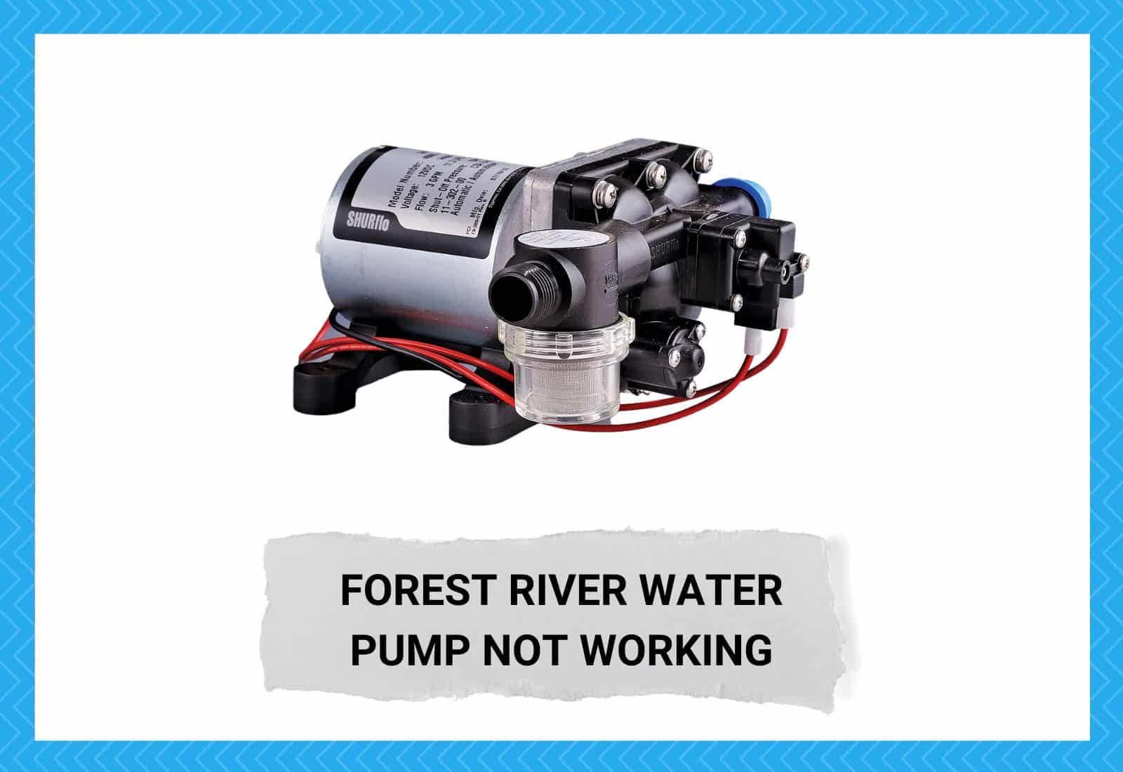 Forest River Water Pump Not Working