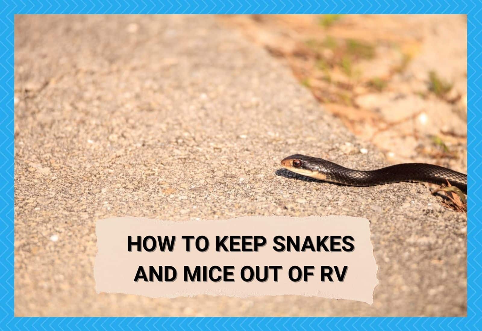 How To Keep Snakes And Mice Out Of RV