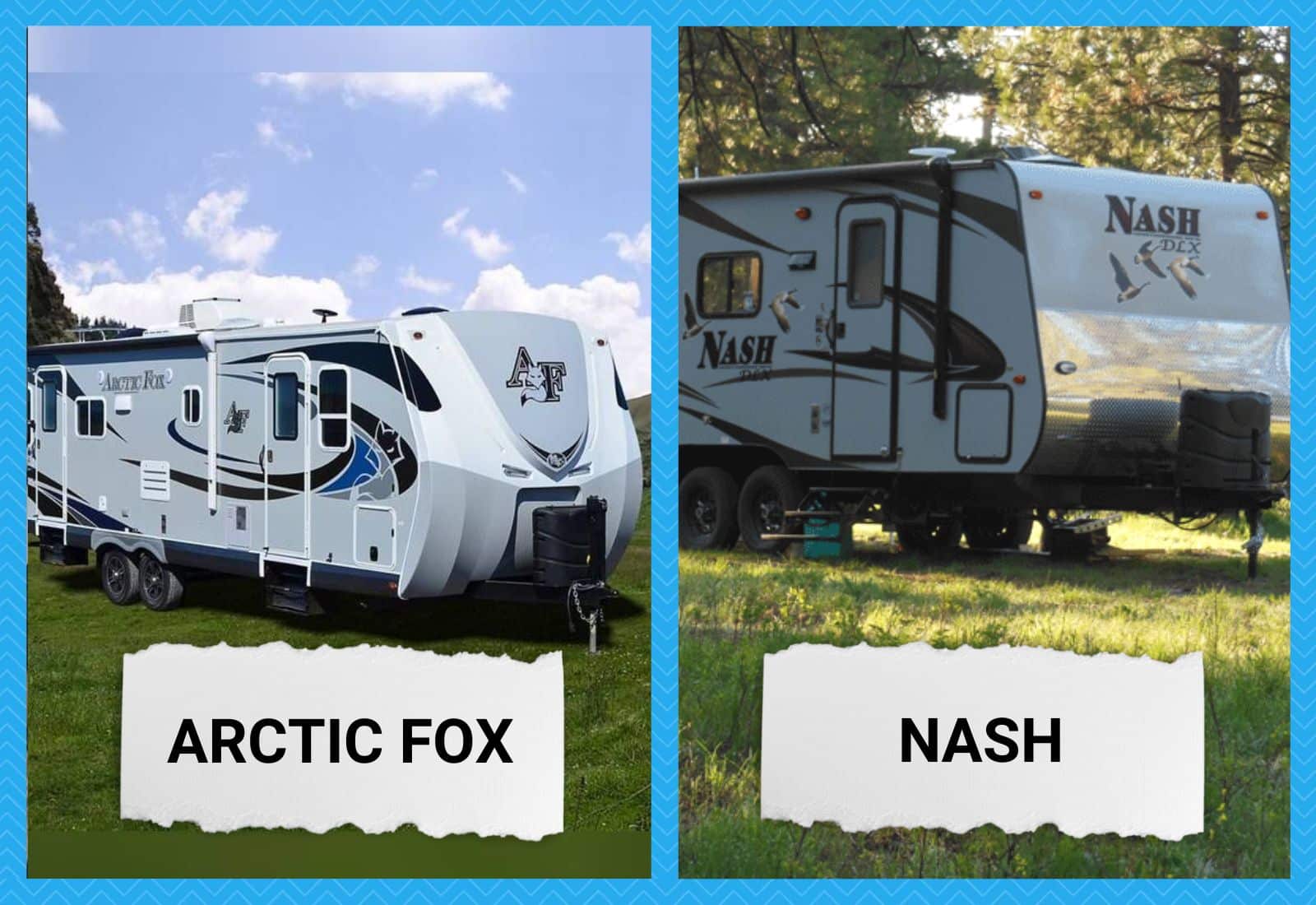 Nash vs Arctic Fox