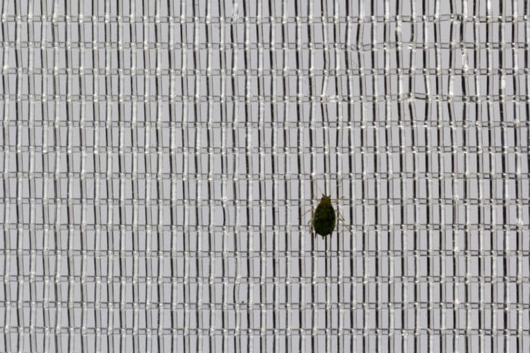 Purchase Guide For Vent Covers To Keep Bugs Out Camper Upgrade