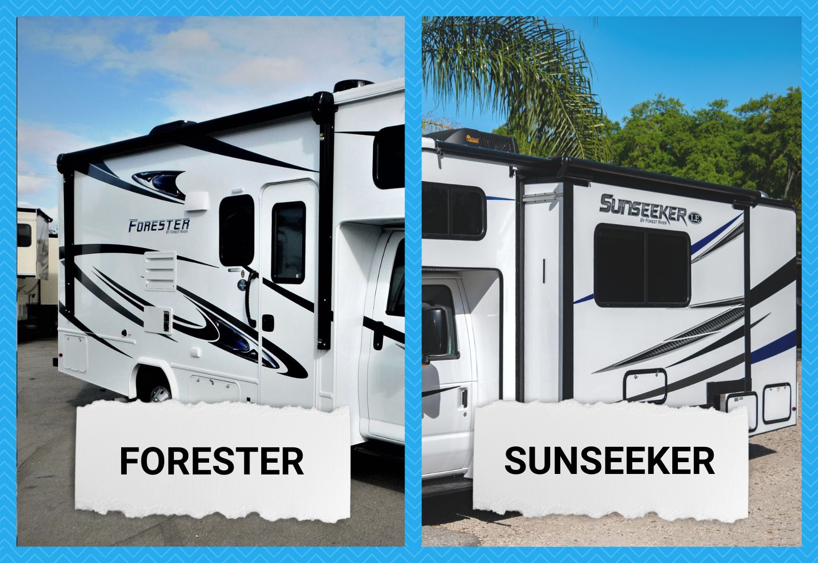 Forester vs Sunseeker