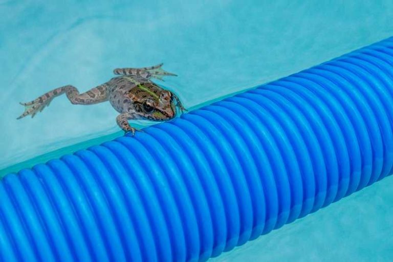 9 Common Shurflo Water Pump Problems (Troubleshooting) - Camper Upgrade